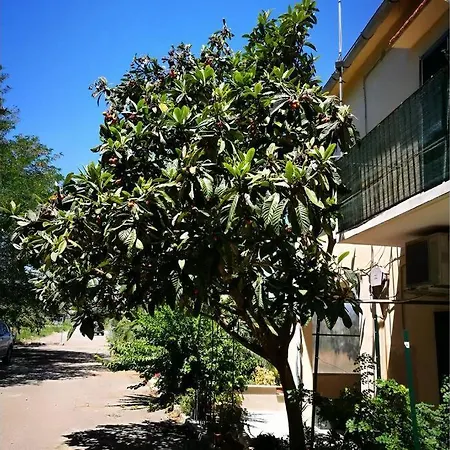 Holiday home Sandhome Ferrandina